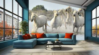 Herd of White Camargue horses running through water Wall mural