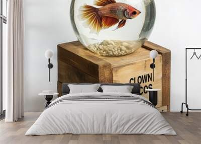 A clown pleco fish swims in a round glass bowl with pebbles, set on a wooden base labeled 