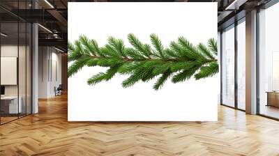 A Sprig of Evergreen in the Midst of Winter on a White or Clear Surface PNG Transparent Background. Wall mural