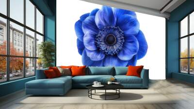 Blue anemone flower isolated on transparent background Wall mural