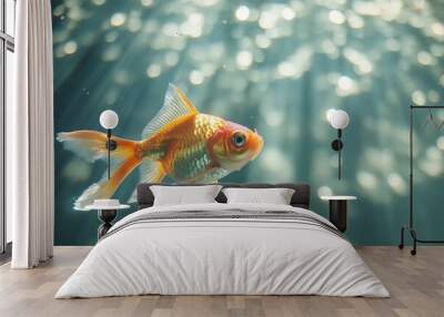 fish in aquarium Wall mural