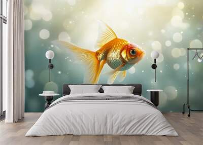 goldfish in aquarium Wall mural