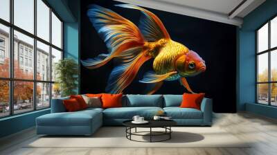 goldfish in aquarium Wall mural