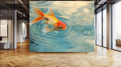 goldfish in the water Wall mural