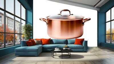 the mystical cauldron of enchantment. on a white or clear surface png transparent background. Wall mural