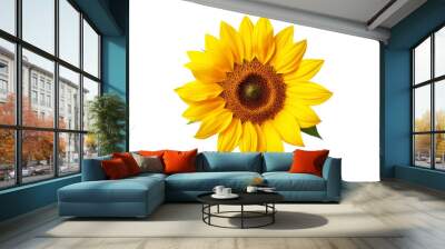 The Radiant Bloom of a Golden Sunflower on a White or Clear Surface PNG Transparent Background. Wall mural