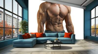 Muscular shirtless man with dumbbell, posing and training isolated Wall mural