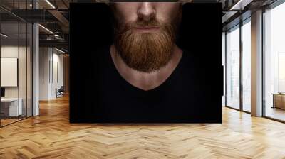 Perfect beard. Close-up of young bearded man standing against black background Wall mural