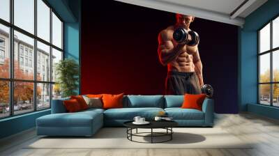 Power male athlete training bicep muscles. Dumbbell Biceps Curl Arm Workout. Handsome guy fitness model posing well perfect trained body, biceps, chest and abs. Strong male shirtless torso Wall mural