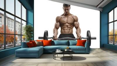 Strong man. Bodybuilder pumping up biceps working out barbell. Transparent PNG barbell workout muscles body training weightlifting Wall mural