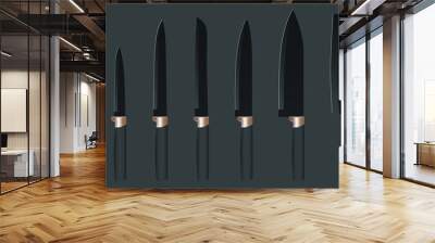 set of realistic kitchen knives isolated on black, Vector illustration, chef knives, Cutlery icon set Wall mural