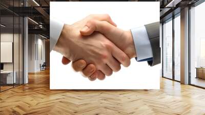 handshake between two businessmen Wall mural