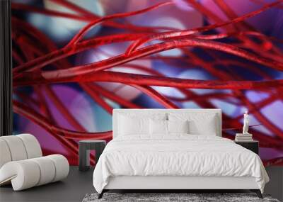 blood vessels, veins and arteries, circulatory system Wall mural