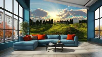 HDRI, environment map , Round panorama, spherical panorama, equidistant projection, panorama 360, Forest and swamp, 3d rendering Wall mural