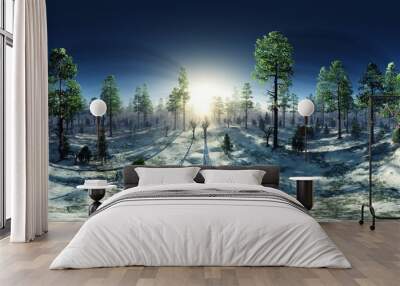 Winter forest in the rays of the sun, HDRI, environment map , Round panorama, spherical panorama, equidistant projection, panorama 360 Wall mural