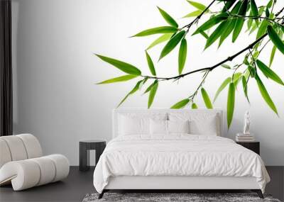 bamboo breeze leave on a white background Wall mural