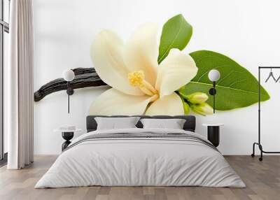 vanilla flower with pods and leaves isolated on a white background Wall mural