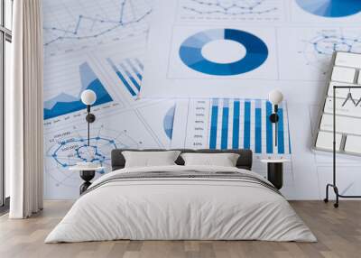 Business graph and financial chart report. accounting and auditing concept. Wall mural