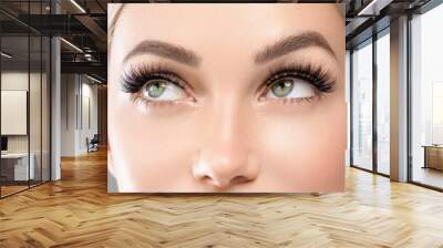 Eyes lashes closeup woman face beauty Wall mural