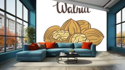 Walnuts isolated on white background. Cartoon Vector label. Wall mural