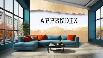 Appendix word written under torn paper. Wall mural