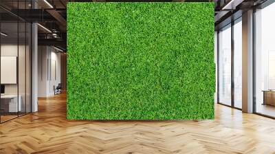 Artificial Green grass texture seamless background, top view Wall mural