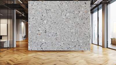 gray Terrazzo texture. Polished concrete floor and wall pattern. Color surface marble and granite stone, material for decoration Wall mural