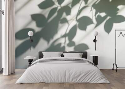 Leaves and window pane shadow overlay effect on white background; natural light; abstract image concept Wall mural