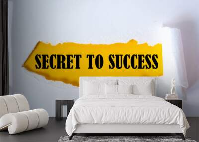 SECRET TO SUCCESS word written under torn paper. Wall mural