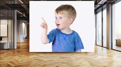 Portrait of cheerful kid boy showing good idea on fingers - isolated over white background Wall mural