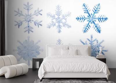 Set of different snowflakes isolated on white background. Macro photo of real snow crystals. Generative AI Wall mural