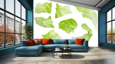 Set of various fresh green leaves of lettuce vegetable salad isolated on white background. With clipping path. Full depth of field. Focus stacking. PNG Wall mural