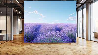  field of lavender under a clear blue sky, big copy space Wall mural