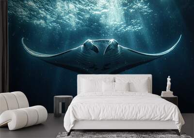 A manta ray swimming in the deep dark sea, close up Wall mural