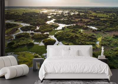 Panoramic aerial view at sunset of typical Pantanal Wetlands landscape with  lagoons, forests, meadows, river, fields, Mato Grosso, Brazil Wall mural