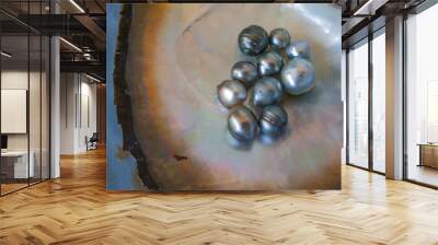 black pearls, just harvested on a pearl farm in the Fakarava atoll, Tuamotus, French Polynesia Wall mural