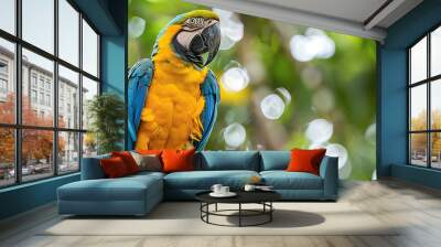 Gold and Blue Macaw (Ara ararauna) perching on tree branch, with empty copy space Wall mural