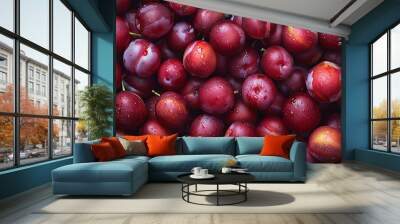 New Zealand fresh plums. Beautiful colour raw bulk plums background or wallpaper Wall mural