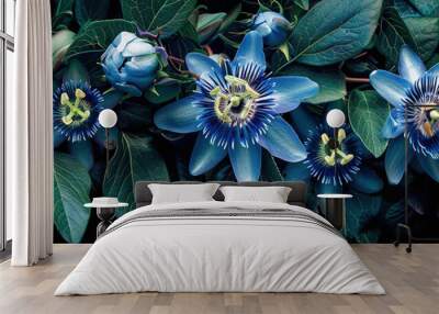 Passiflora caerulea plant with blue flowers, empty copy space Wall mural