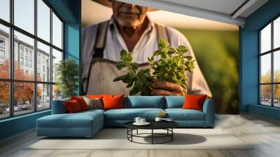 Farmer holding bunch of stevia plant over blurred stevia field. A farmer holding a bunch of Stevia plant on unfocus background. Natural sweetener, sugar substitute, alternative sugar. No sugar concept Wall mural