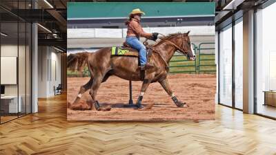 Pole Bender Western Rider Wall mural