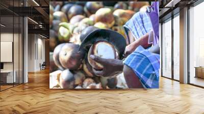 Indian farmer cuts and sells palmyra palm fruit at farmer's market	
 Wall mural