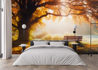 Panorama of bench under old oak trees at misty autumn morning with sunbeams 1 Wall mural