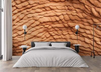 brown clay nature texture abstract background. Wall mural