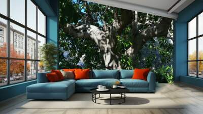 A big tree with sun and shadows Wall mural