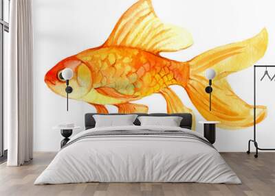 Gold fish isolated on white background, watercolor illustration Wall mural