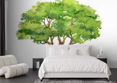 Green tree isolated on white background, watercolor illustration Wall mural