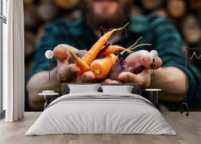 Carrots and beets in the man farmer hands in a green plaid shirt Wall mural