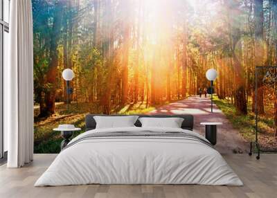 park forest landscape at sunset with sun rays through trees against setting sun background Wide view of road in wood towards setting sun People running along pathway Natural color of nature Wall mural