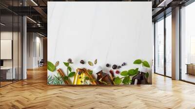 Ingredients for essential oil. Different herbs and bottles of essential oil, white background, copy space. Wall mural